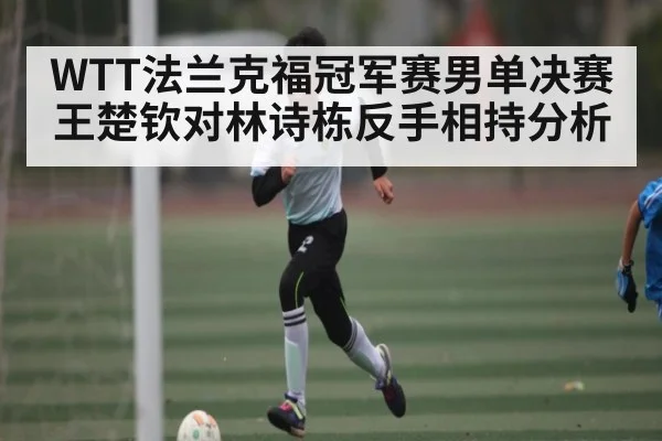WTT法兰克福冠军赛男单决赛王楚钦对林诗栋反手相持分析